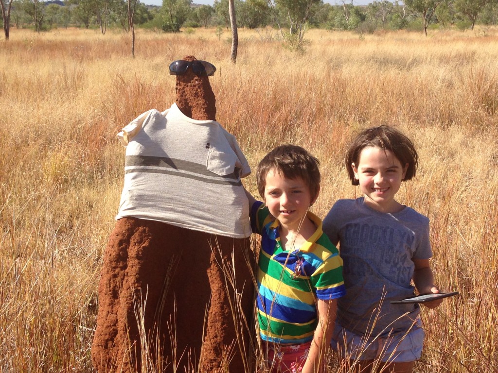 We've dressed a termite mound before, look!